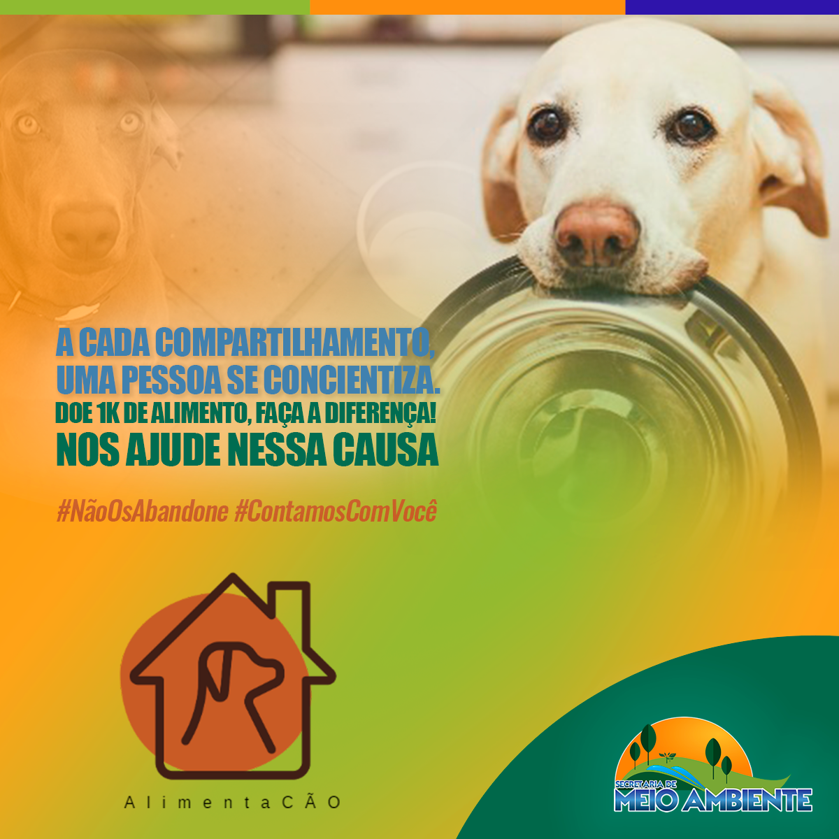 Projeto “AlimentaCão” Instala Comedouros para Cães Abandonados nas Ruas de Calçado