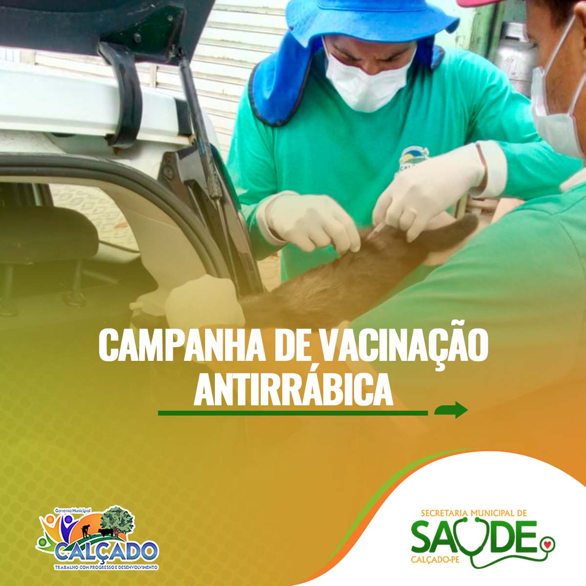 Calçados Realiza Campanha de Vacinação Antirrábica para Cães e Gatos