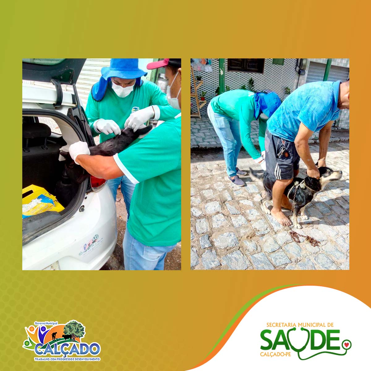 Calçados Realiza Campanha de Vacinação Antirrábica para Cães e Gatos